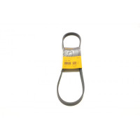 5PK962 CONTINENTAL Ремінь генератора Fiat Ducato 1.9D/TD/Peugeot 106 1.5D 94-04/Mitsubishi Lancer/Space Star 1.3 98-04