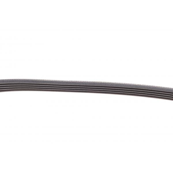 5PK975 CONTINENTAL Ремінь генератора BMW 5 (E34)/7 (E38)/Citroen BX/Daewoo Lanos/Nexia 85-01(5PK975)