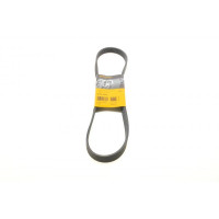 6PK1010 CONTINENTAL Ремінь генератора Citroen Jumper/Peugeot Boxer2.5D/TD
