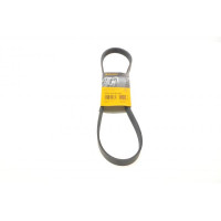 6PK1019ELAST CONTINENTAL Ремінь генератора Ford Fiesta/Focus