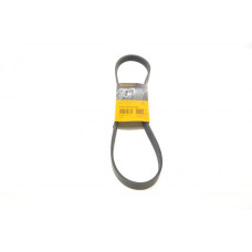 6PK1019ELAST CONTINENTAL Ремінь генератора Ford Fiesta/Focus