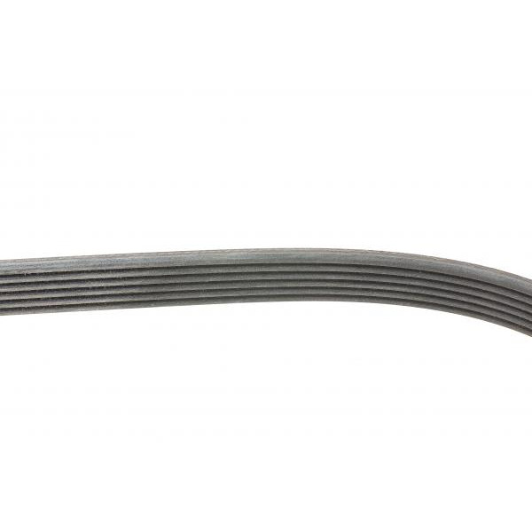 6PK1033ELAST CONTINENTAL Ремінь генератора Ford Fiesta VI 1.25-1.6Ti 08-