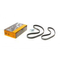 6PK1059ELASTT2 CONTINENTAL Ремінь генератора Ford Focus 1.4/1.6i 03-/Volvo C30/S40/V50 1.6 05-12 (6PK1059 ELAST+5PK868 ELAST)