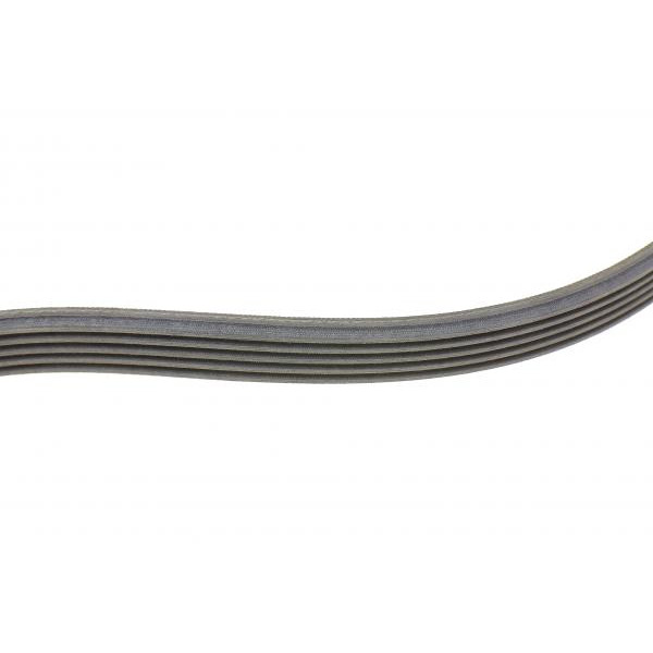 6PK1059ELASTT2 CONTINENTAL Ремінь генератора Ford Focus 1.4/1.6i 03-/Volvo C30/S40/V50 1.6 05-12 (6PK1059 ELAST+5PK868 ELAST)