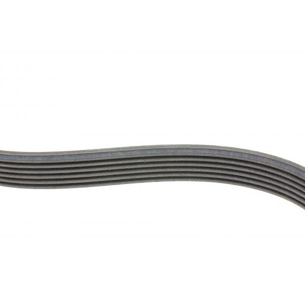 6PK1059ELASTT2 CONTINENTAL Ремінь генератора Ford Focus 1.4/1.6i 03-/Volvo C30/S40/V50 1.6 05-12 (6PK1059 ELAST+5PK868 ELAST)