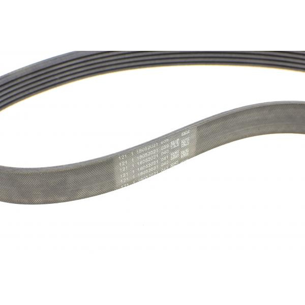 6PK1059ELASTT2 CONTINENTAL Ремінь генератора Ford Focus 1.4/1.6i 03-/Volvo C30/S40/V50 1.6 05-12 (6PK1059 ELAST+5PK868 ELAST)
