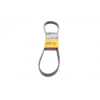 6PK1059ELAST CONTINENTAL Ремінь генератора Ford Focus 1.6i