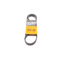 6PK1120 CONTINENTAL Ремінь генератора Skoda Octavia/VW Golf 1.6-2.0/1.9TDI 97-13/Passat B6/B7 1.8-2.0TSI/T5 1.9TDI 03-15