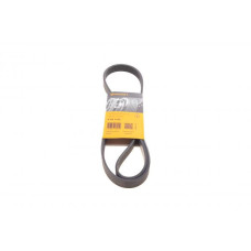 6PK1165 CONTINENTAL Ремінь генератора Citroen Jumper/Peugeot Boxer 3.0HDI