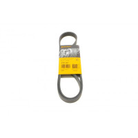 6PK1217 CONTINENTAL Ремінь генератора Fiat Scudo/Peugeot Expert 2.0MJTD/HDi 07- (+AC)