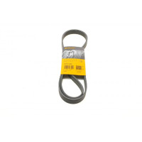6PK1240 CONTINENTAL Ремінь генератора Renault Laguna 2.0 95-01/Audi A3 3.2 03-09/Ford Kuga 2.0TDCi 13-
