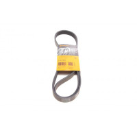 6PK1244 CONTINENTAL Ремінь генератора Citroen Jumpy 2.0HDI 10-