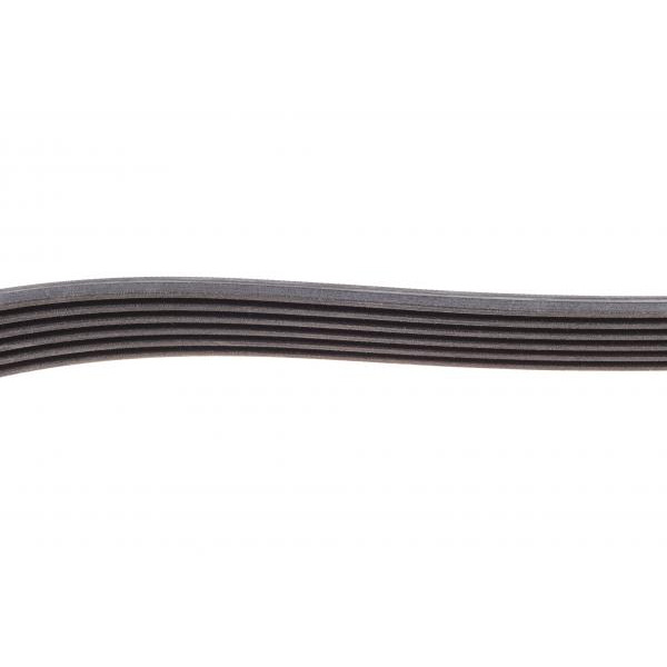 6PK1244 CONTINENTAL Ремінь генератора Citroen Jumpy 2.0HDI 10-