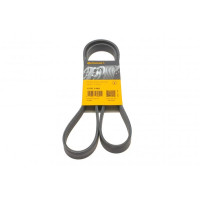 6PK1440 CONTINENTAL Ремінь генератора Citroen Berlingo/Jumpy/Fiat Scudo/Peugeot Partner 1.9D 98-/Hyundai Accent 02-05