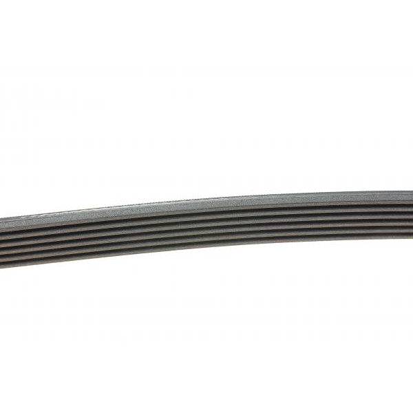 6PK1440 CONTINENTAL Ремінь генератора Citroen Berlingo/Jumpy/Fiat Scudo/Peugeot Partner 1.9D 98-/Hyundai Accent 02-05