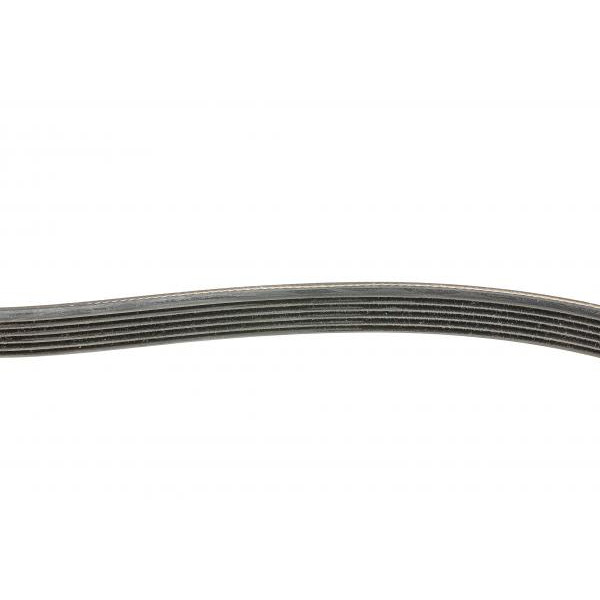 6PK1495 CONTINENTAL Ремінь генератора Citroen Xantia 3.0 V6 97-03/Mitsubishi L200 2.5 DI-D 05-15