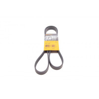 6PK1520 CONTINENTAL Ремінь генератора Ford Focus 1.8 TDCi 05-12/Skoda Octavia/VW Lupo/Seat Arosa 1.4 i 99-01