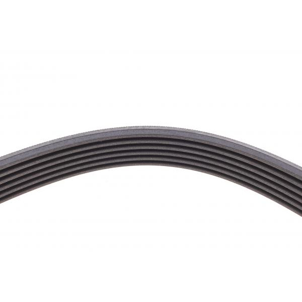 6PK1605 CONTINENTAL Ремінь генератора Opel Astra 1.7CDTi 03-/Renault Megane/Laguna 1.9-3.0 97-03/BMW 1 (E81/E87) 04-11