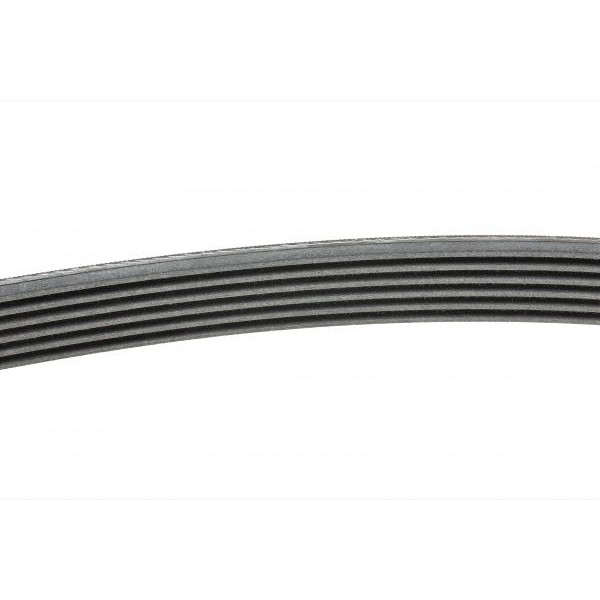 6PK1660 CONTINENTAL Ремінь генератора Fiat Scudo/Citroen Berlingo/VW Golf