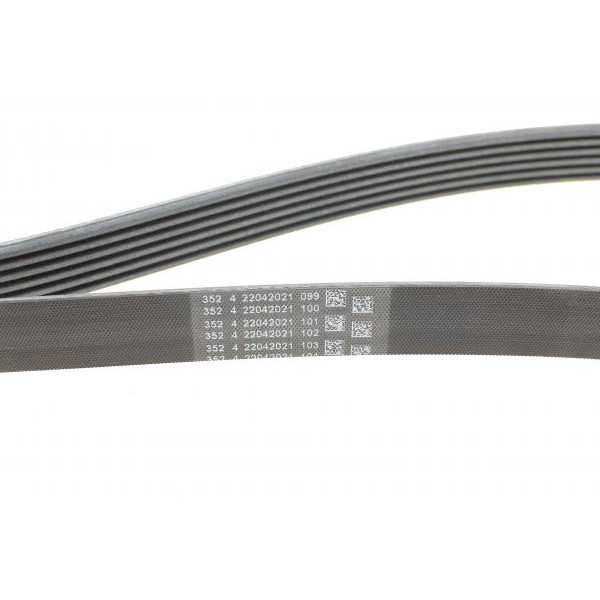 6PK1660 CONTINENTAL Ремінь генератора Fiat Scudo/Citroen Berlingo/VW Golf