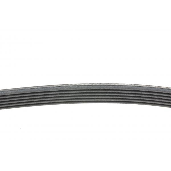6PK1705 CONTINENTAL Ремінь генератора Citroen Jumper 1.9TD 94-02 (ALT,PS,AC)