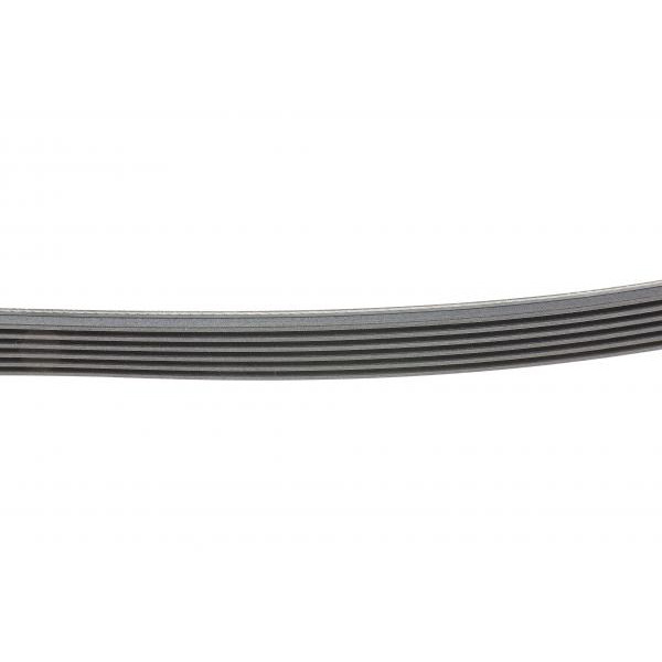 6PK1725 CONTINENTAL Ремінь генератора Opel Vectra/Omega 1.8-2.2 86-03/Audi A6 2.5TDI 94-97/Chevrolet Lacetti 1.8 05-