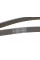 6PK1743 CONTINENTAL Ремінь генератора Peugeot 206/306/4007/406/4007/Citroen C5 1.9TD/2.0/2.2HDI 96-/Ford Galaxy 2.2 08-