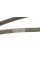 6PK2035 CONTINENTAL Ремінь генератора MB C-class 2.0 00-02 (M111)