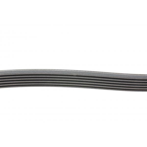 6PK2190 CONTINENTAL Ремінь генератора MB C-class (W203) 00-08