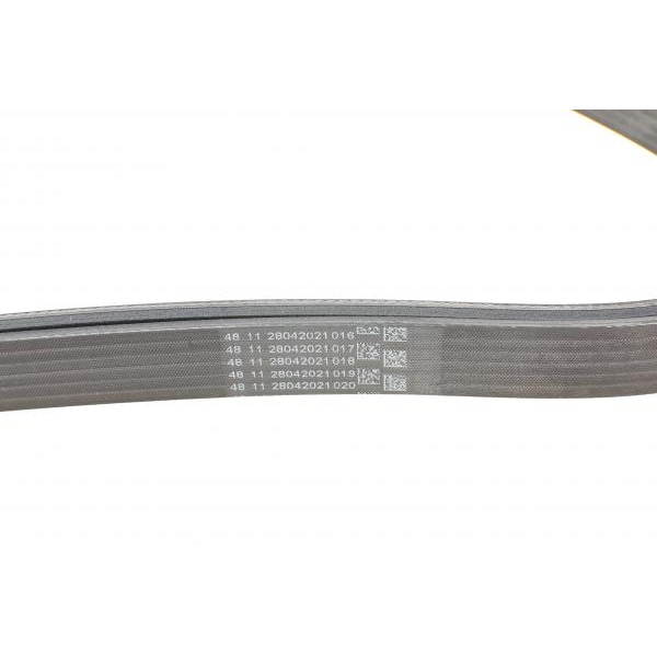 6PK2190 CONTINENTAL Ремінь генератора MB C-class (W203) 00-08