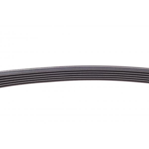 6PK730 CONTINENTAL Ремінь генератора Citroen Berlingo/Fiat Ducato/Peugeot Boxer/Expert 1.9 D/TD 96-03 (6PK730)