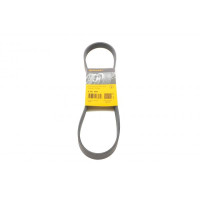 6PK894 CONTINENTAL Ремінь генератора Citroen C4/C5 14-/Renault Kangoo/Clio 1.9D 97-/VW Passat B3/B4 88-97/Sharan 95-10