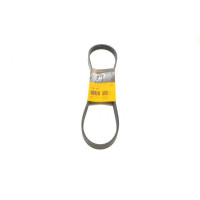 6PK915 CONTINENTAL Ремінь генератора Citroen Jumper/Peugeot Boxer 2.5D/TDI 94-02 AC /2.5D -95