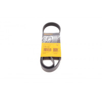 6PK923 CONTINENTAL Ремінь генератора VW T4/Caddy 1.9D/TD 90-03/Toyota Corolla/Auris 1.4D 06-14/Kia Rio 1.25 17-