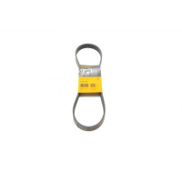 6PK935 CONTINENTAL Ремінь генератора Fiat Punto 1.7TD 94-99/Honda Accord 2.0/2.3i 93-03