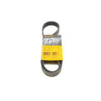 7PK1125 CONTINENTAL Ремінь генератора Renault Megane/Scenic 1.9dCi/2.0 03-/Nissan Juke 1.6 10-