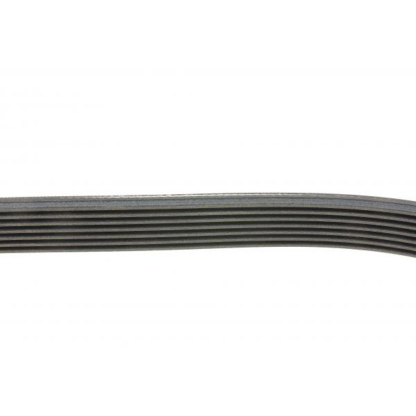 7PK1125 CONTINENTAL Ремінь генератора Renault Megane/Scenic 1.9dCi/2.0 03-/Nissan Juke 1.6 10-