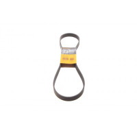 7PK1165 CONTINENTAL Ремінь генератора Nissan Micra/Note 1.2 10-