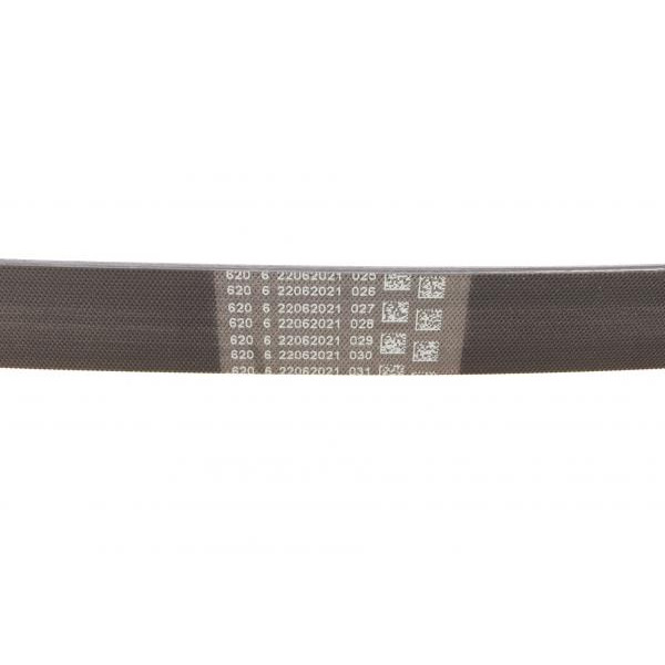 7PK1165 CONTINENTAL Ремінь генератора Nissan Micra/Note 1.2 10-