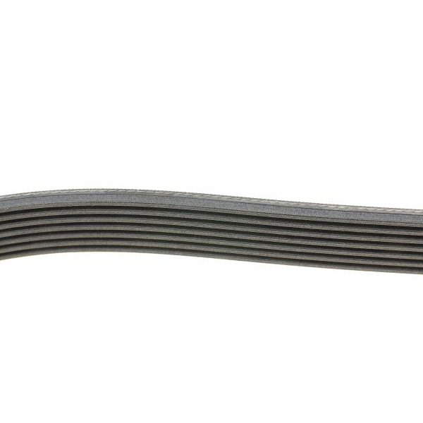 7PK2535 CONTINENTAL Ремінь генератора Audi A8 3.7/4.2 quattro 02-10/VW Phaeton 4.2 V8 4motion 03-16
