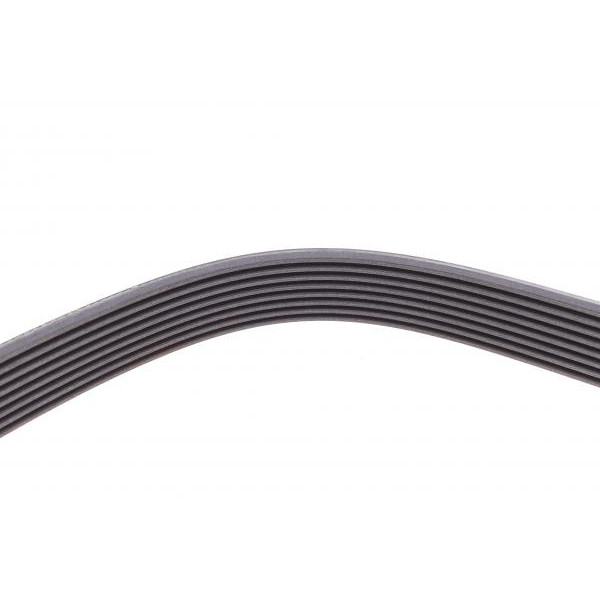 8PK1420 CONTINENTAL Ремінь генератора MB Vario OM904