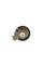 CT1065WP1 CONTINENTAL Комплект ГРМ + помпа Citroen Berlingo/C3/Peugeot 206/307/Partner 1.6 16V 00- (26x134z)