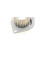 CT1065WP1 CONTINENTAL Комплект ГРМ + помпа Citroen Berlingo/C3/Peugeot 206/307/Partner 1.6 16V 00- (26x134z)