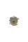 CT1088WP3 CONTINENTAL Комплект ГРМ + помпа Audi A3/Skoda Octavia/VW Golf 2.0FSI 04-10 (23x148z)