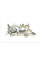 CT1185WP2 CONTINENTAL Комплект ГРМ + помпа VW Polo/Skoda Fabia 1.0 TSI 14- (10x81z)