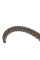 CT865K1 CONTINENTAL Комплект ГРМ Citroen Jumper/Peugeot Boxer 2.0i 94- (25x114z)