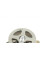 CT957WP3 CONTINENTAL Комплект ГРМ + помпа VW Caddy/Golf 1.4 05-13/Polo 1.4 01-/Skoda Fabia 1.4 99-14 (20x130z/17x58z)