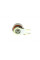 CT979WP2 CONTINENTAL Комплект ГРМ + помпа Ford Focus/Kuga/Mondeo 2.5 05-15 (23x142z)