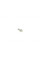 CT979WP2 CONTINENTAL Комплект ГРМ + помпа Ford Focus/Kuga/Mondeo 2.5 05-15 (23x142z)