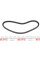 10A0690C DAYCO Ремінь генератора Renault Clio/Fiat Scudo 1.4/1.6 95-